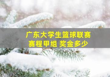 广东大学生篮球联赛赛程甲组 奖金多少